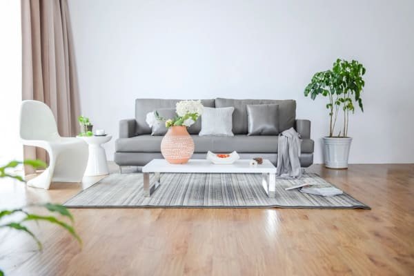 Photographie d’illustration : un salon clair, meublé simplement, avec des plantes près de la fenêtre. Ce n’est pas un bien que nous proposons.
