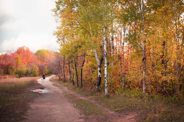 Photographie d’illustration : un chemin de promenade bordé d’arbres aux couleurs d’automne. Le lieu n’est pas situé en Suisse.